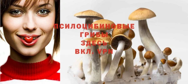 дживик Армянск