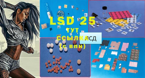стафф Алексин