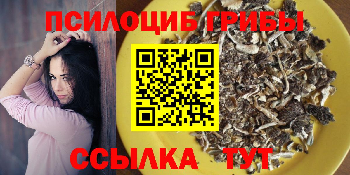 Аша  Галлюциногенные грибы GOLDEN TEACHER  Вход с VPN  Галлюциногенные грибы Psilocybe 
